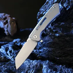 High Quality Folding Knives D2 Drop Point Blade 420 Steel Handle Outdoor Camping Hunting Utility EDC Knife Multi-Tool Gift Box