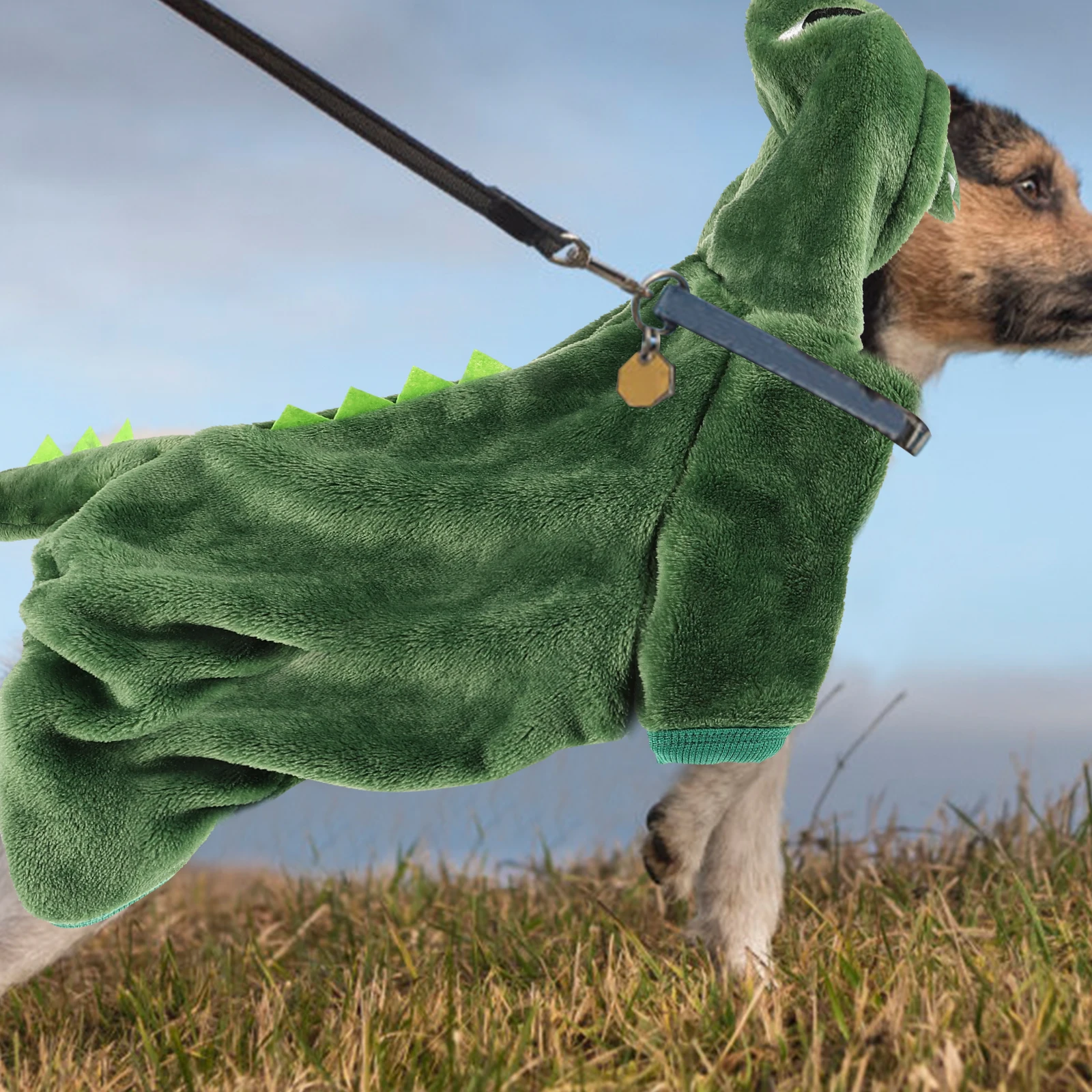 

Dog Dinosaur Clothes Green M Size Thick Warm Hoodie Puppy Sweater Windproof Fall Winter Pet Clothing Designer Luxury