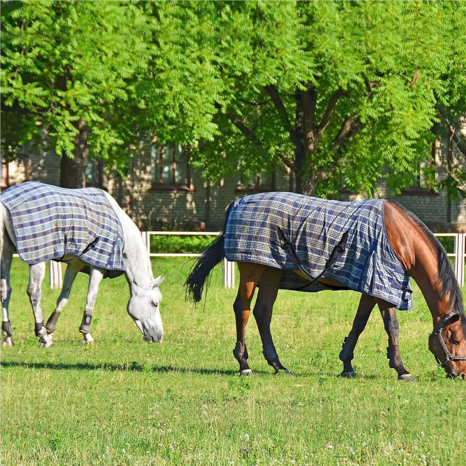 4pcs Horse Blanket Leg Straps with Double-ended clip 21.26 Inches Leg Straps for Horse Blanket Horse care accessories