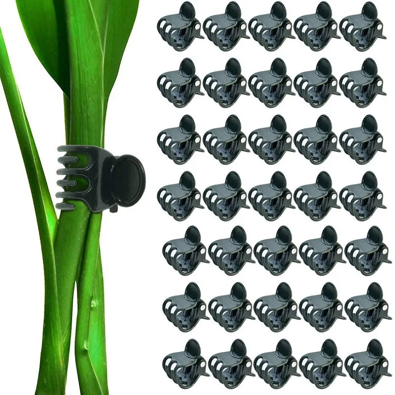 20/50/100 PEÇAS Clipes de 6 Garras para Plantas, Presilhas para Hastes Trepadeiras, Abraçadeiras de Suporte para Mini Orquídeas e Flores, Suprimentos de Jardim