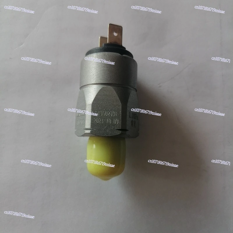 

Нагрузчик ZL50GN, вилочный погрузчик 813502391, реле давления, строительная техника, оригинальные детали