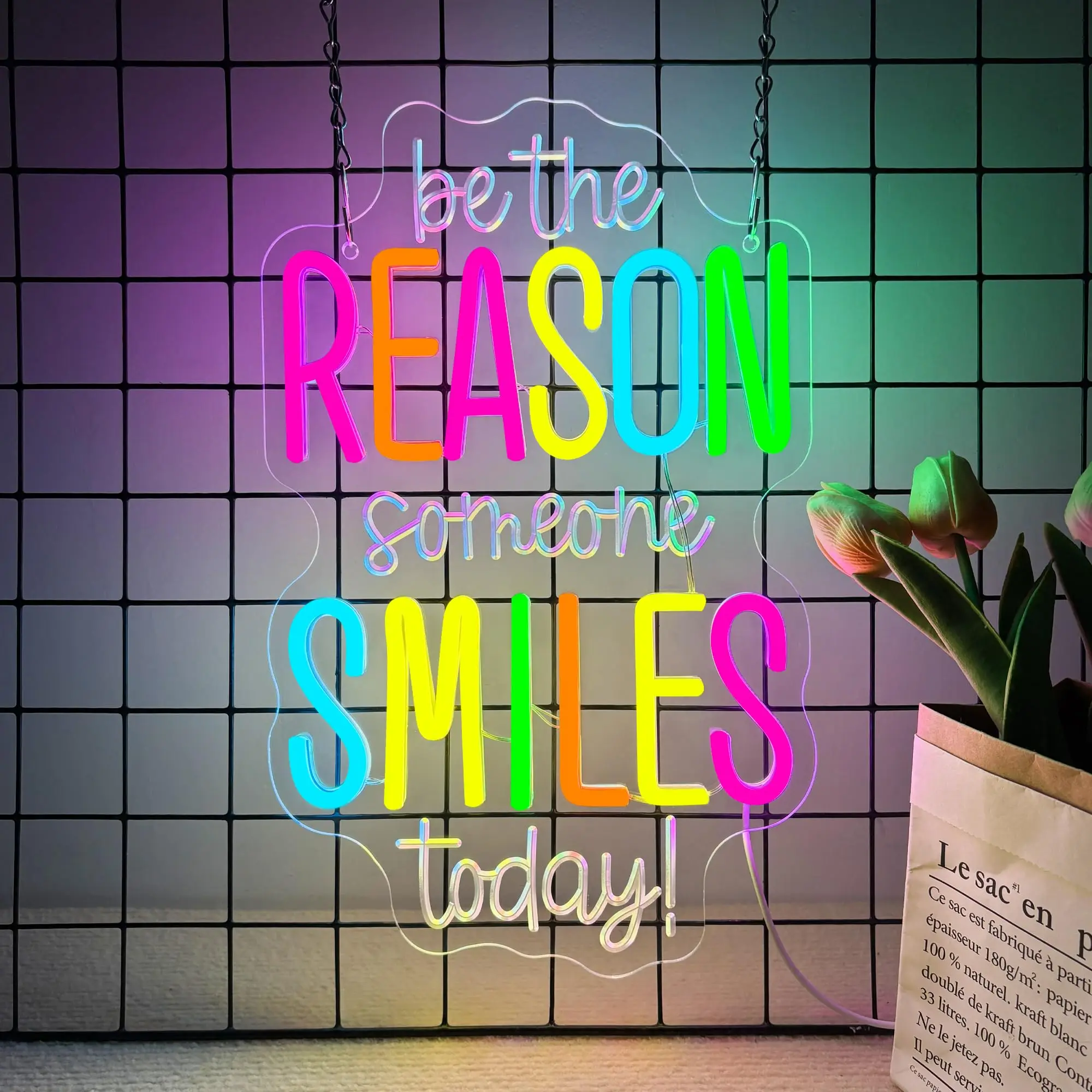 

Back to School LED Neon Sign - Be The Reason Someone Smiles Today - Inspirational USB Dimmable Light for Classroom Office Decor