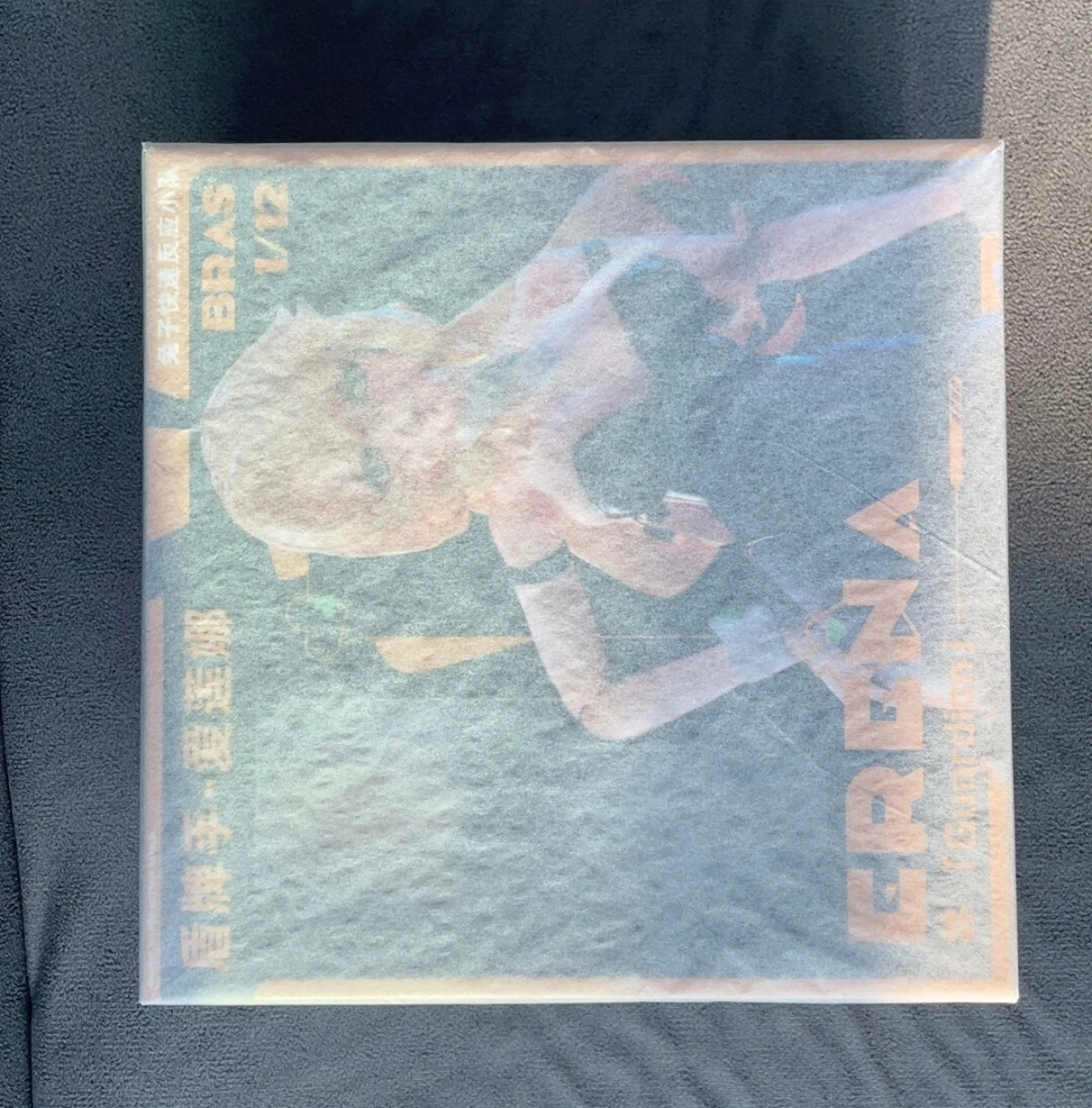 

Retrospective Sushing Rabbit Rapid Response Team Shield Bearer Elena 1/12 Action Figure