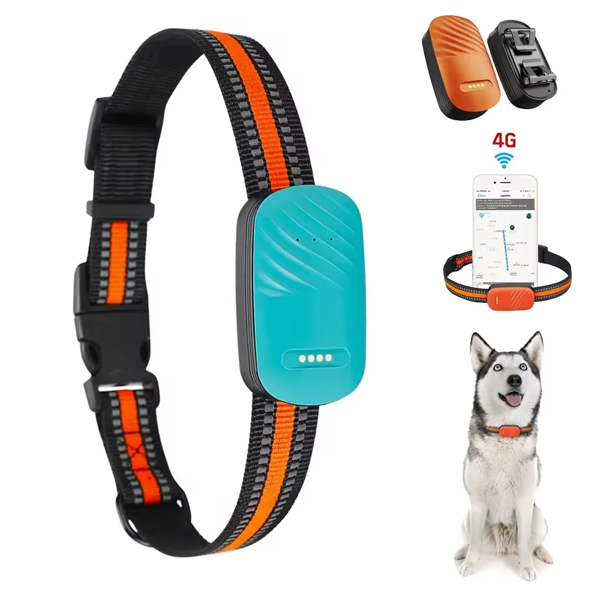 4G Collar With Gps … - image