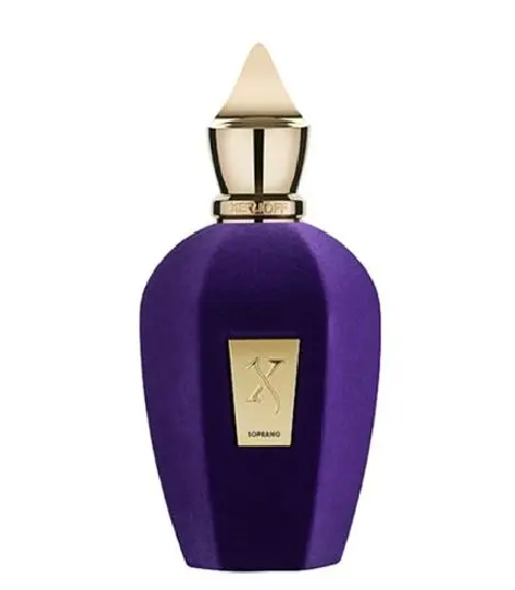 Xerjoff Opera Coro SOPRANO Eau De Parfum Spray (Unisex) Erba Pura Eau De Parfum Luxury Fragrance for Men & Women Makeup 125ML