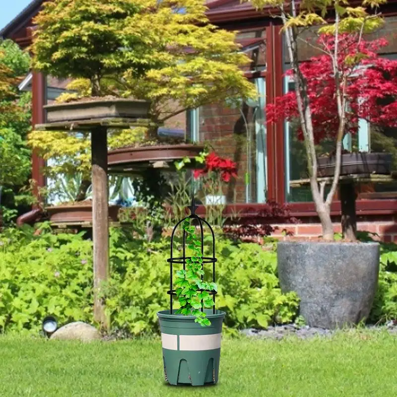 Obelisco estante de vid para plantas trepadoras, enrejado para plantas de jardín, marco de flores de acero empalmado, soporte para plantas, marco de