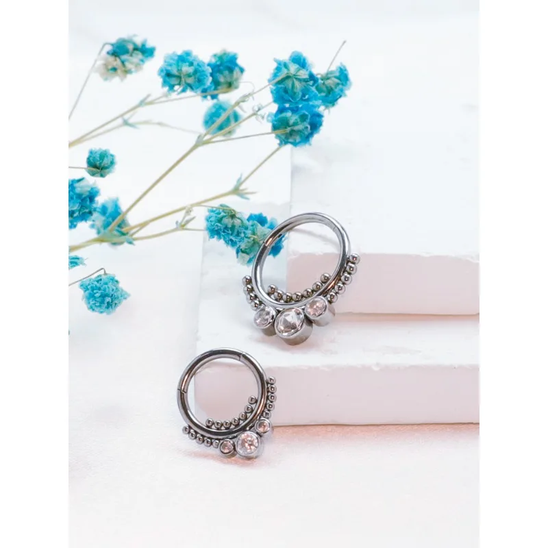 2/5pcs F136 Titanium Piercing Septum Antiallergic Zircon Nose Ring Tragus 16G Hinged Cartilage Earrings Ladies Body Jewelry