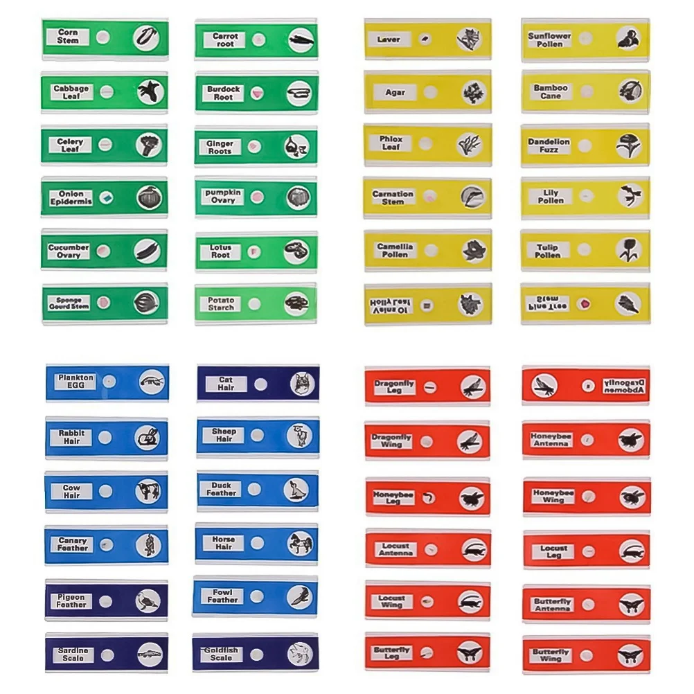 

24Pcs Kids Plastic Biological Microscope Slides Set Prepared Green Plant Flowers Specimens Science Sample Specimen Set for Study