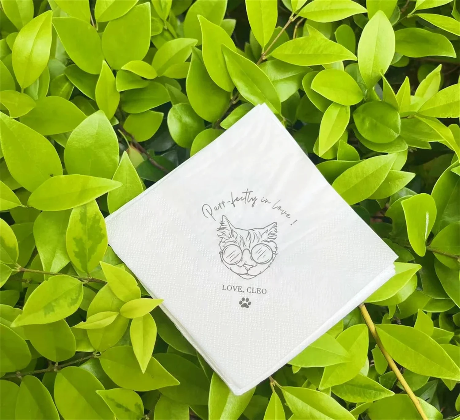 50 PCS Personalized Pet Wedding Napkins, Cat Napkins, Pet Wedding Napkins, Custom Pet Portrait, Unique Party Napkins, Custom Bir