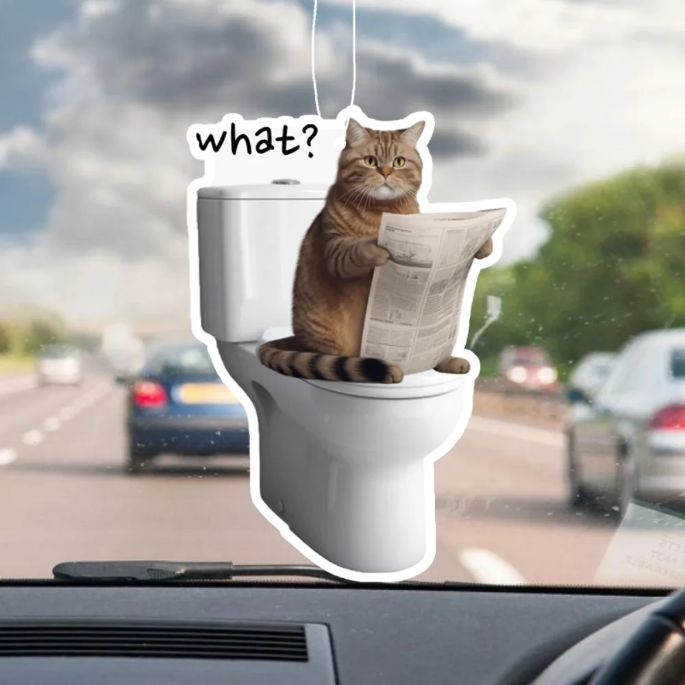 Toilettenlesender Katzenauto-Duftaufhänger – „What's Up?“ Meme, Spiegelentlüftung zum Aufhängen, anhaltender Duft