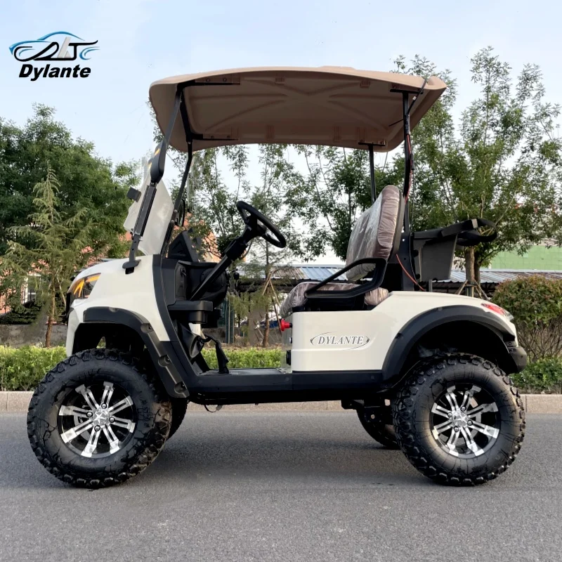 

Exclusive Partner New Design, Adult Two-Seater Electric Golf Cart 60V Lithium Battery Comfortable Sightseeing Golf Cart