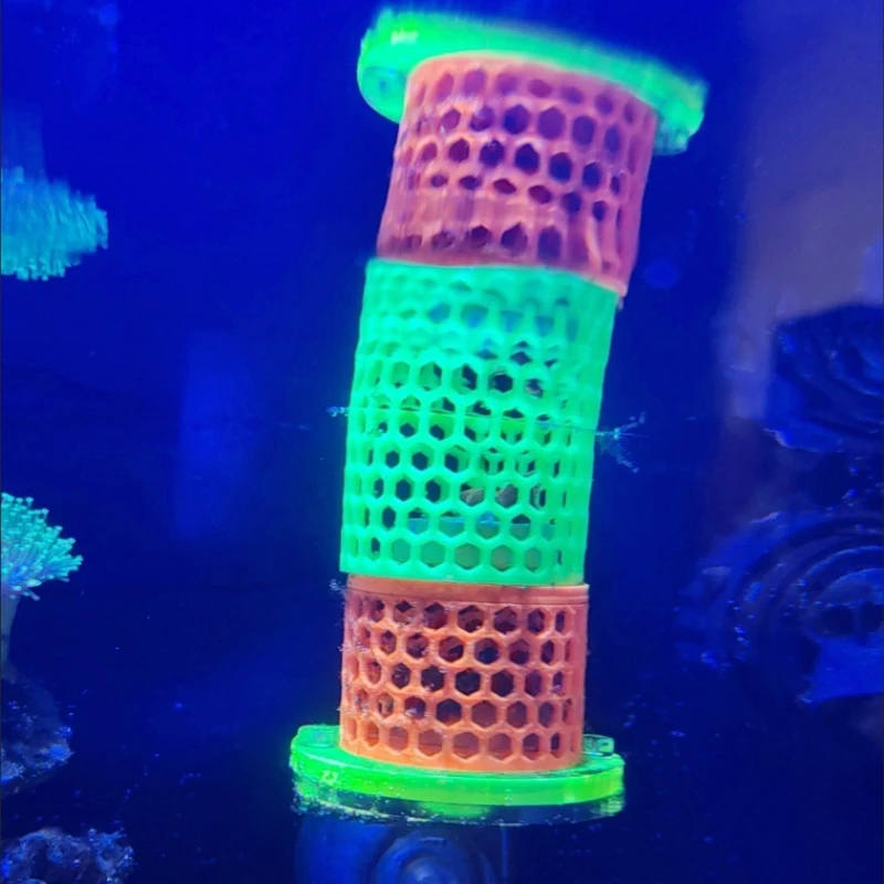 Fluorescent SPS LPS Coral Moun - огляд і ціна Aquarium Fish Reproduction