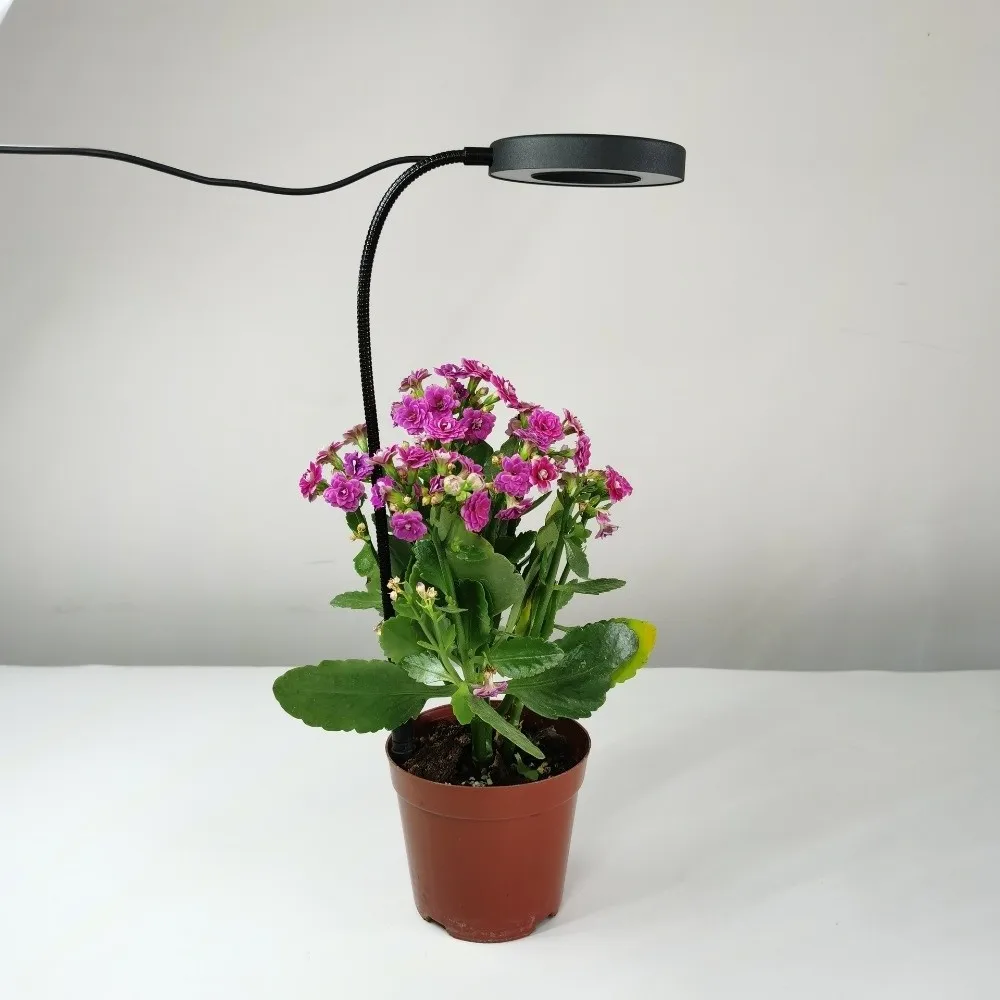 Height/Angle Adjustable LED Plant Grow Light Timer Full Spectrum Full Spectrum Lamp Dimmable USB Ring Grow Light Indoor