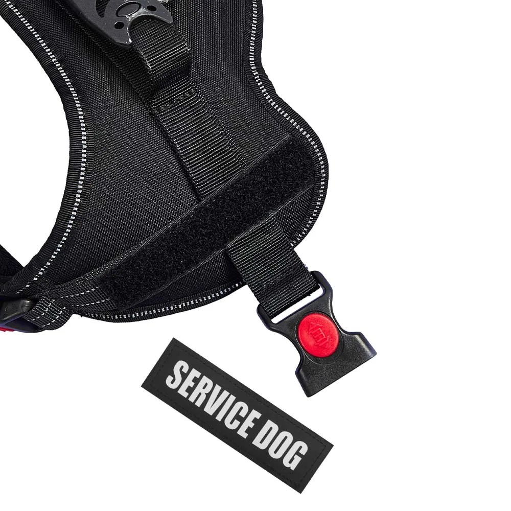 Reflektierendes Hundegeschirr, Weste, Aufnäher, ID, individuell, ohne Ziehen, atmungsaktiv, verstellbar, Haustiergeschirr für Hunde, Outdoor-Walking, Hundebedarf – Detail 35