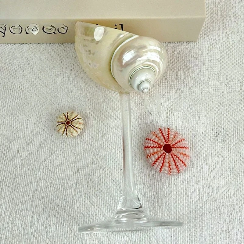 

Handmade Natural Conch High Footed Cup Transparent Base Design Party Cocktail Drinking Set Artistic Decorative Desktop Ornaments