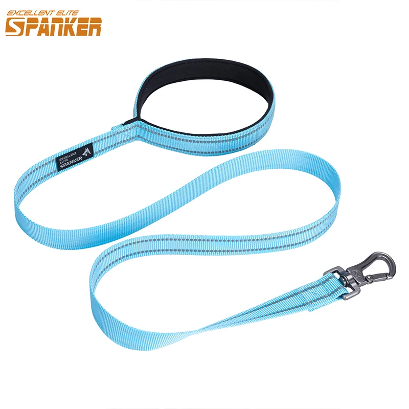 Dog Leash Basic Durable Puppy Leashes Walking Training Camping Traction Rope 1inch Walk the Dogs Pet Leash