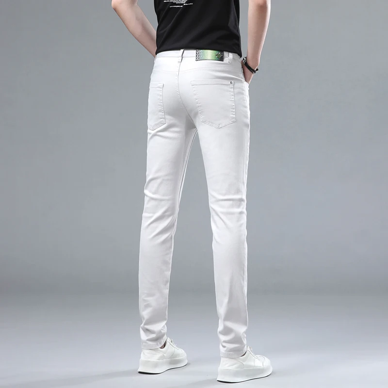 2024 summer new Laisel Tencel ice platinum gray high luxury business casual versatile Slim thin small straight jeans men's pants