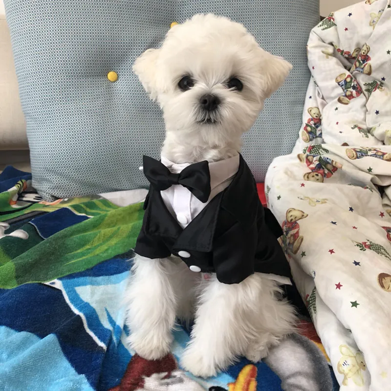 

Pet Dog Cat Costume Suits - Lightweight Tuxedos,Suitable for Weddings, With Adjustable Bow Ties and Breathable Mesh Fabric