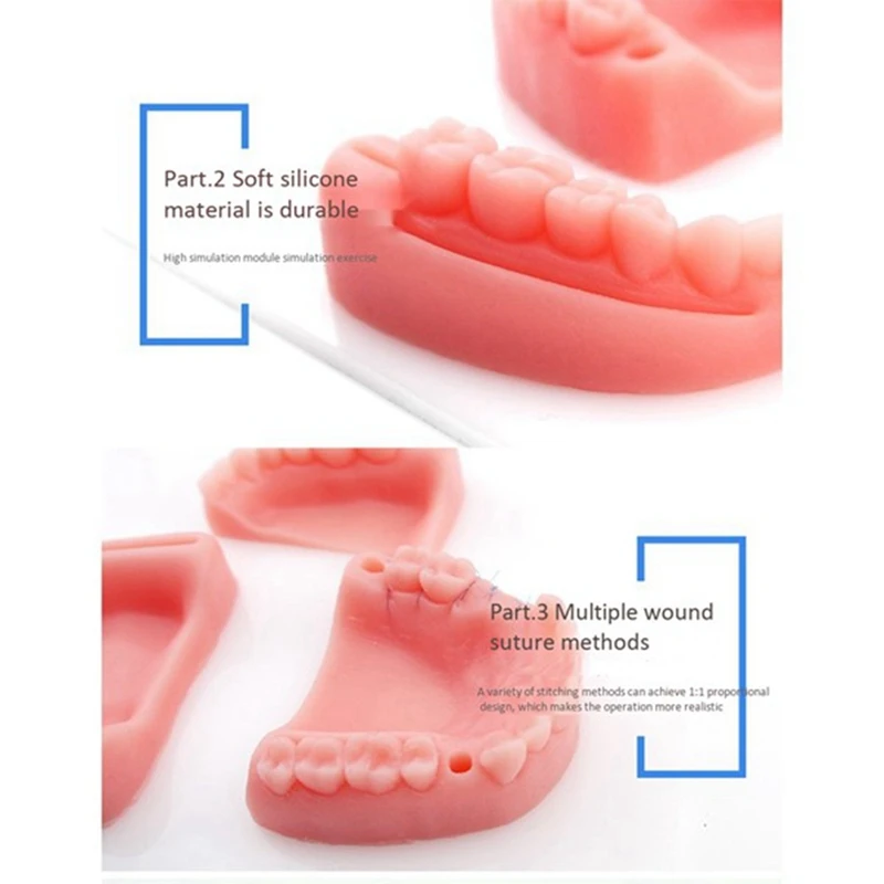 2Set Silicone Artificial Oral Gum Suture Training Kit Common Types Of  Wounds For Dentist Practice And Training