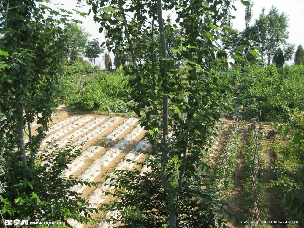 

Шины для туринговых автомобилей 1:10, для шоссейных гонок, с сильным сцеплением, 94123 HSP 94122 Cherry Blossom D3 D4 6087