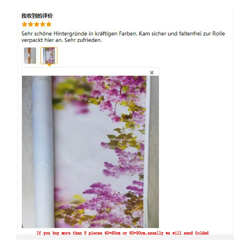 Nitree 성 궁전 실내 사진 배경, 신생아 생일 사진 배경, 사진 갤러리 소품 CB-08