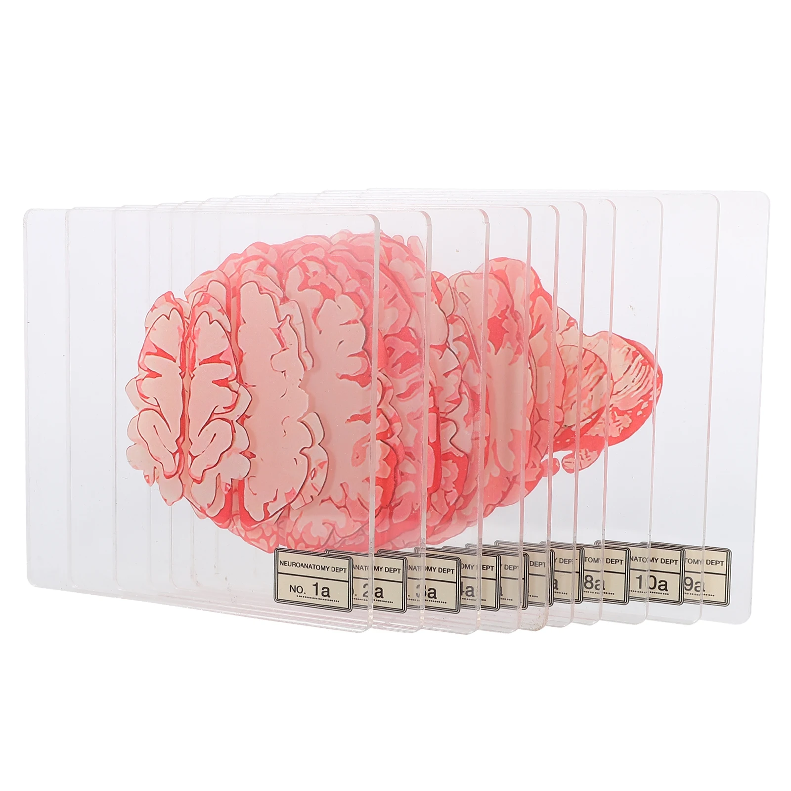 

10pcs Acrylic Coasters Table Mats Blood Splatter Floral Brain Slice Halloween Drink Coaster Kitchen Hot Pads Tea Cup