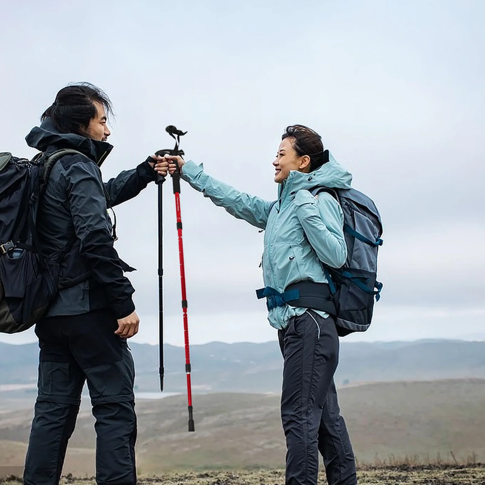 

Collapsible Trekking Poles Lightweight Adjustable Hiking Sticks Shock Absorption Ergonomic Grip For Hiking Camping