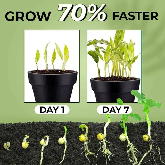 200g Powerful Rooting Powder Rooting Hormone Powder Improve Flowering Cutting Survival Rate Plants Grow Cut Dip Fertilizer