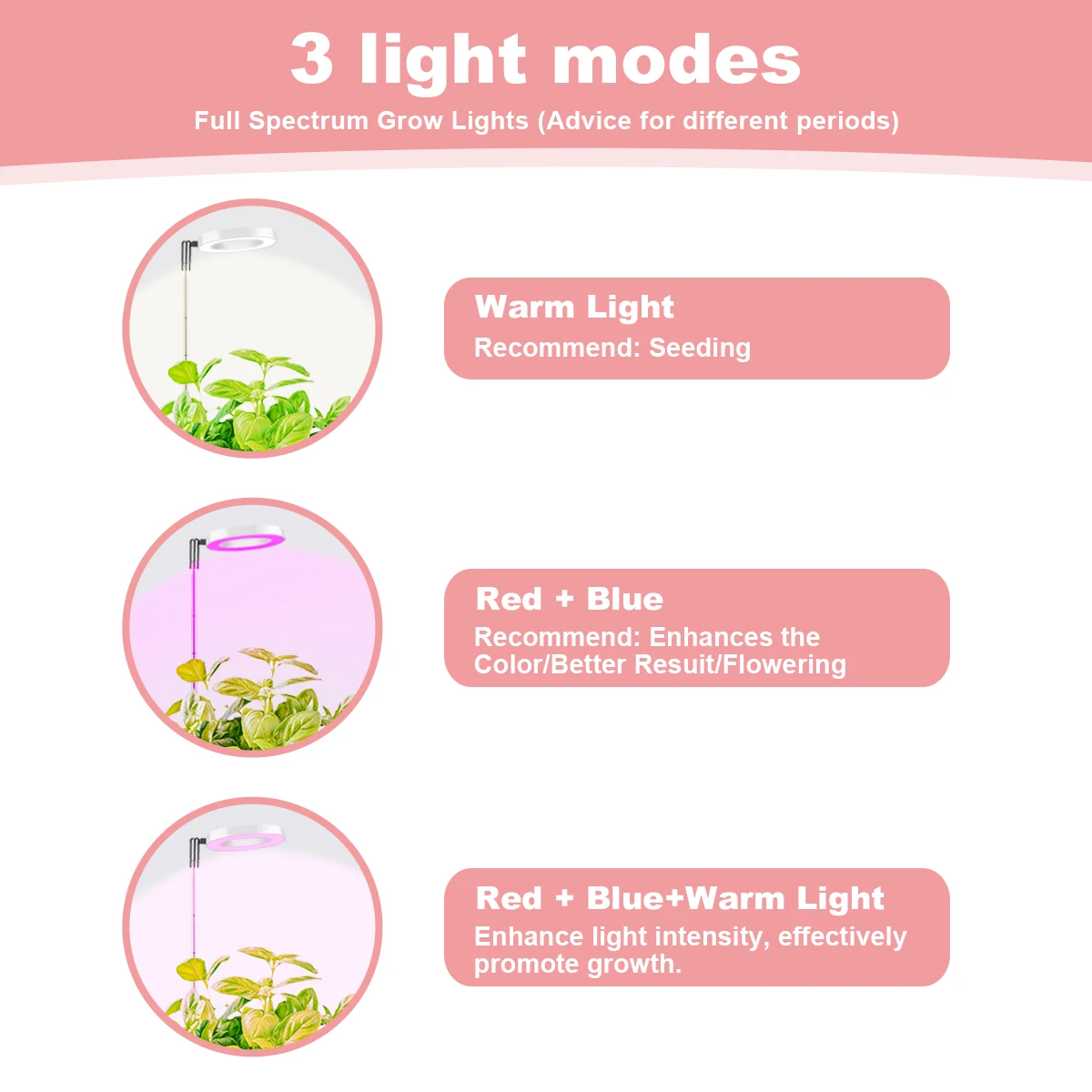 ضوء نمو النبات LED كامل الطيف 3/9/12 توقيت ارتفاع قابل للتعديل ثلاثة ألوان درجة الحرارة وعاء داخلي ضوء نبات عصاري