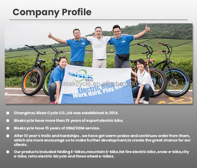 China Factory Supply OEM Fat Tire 3 Räder Elektrofahrräder 48V 500W BAFANG Motor Cargo E Dreirad