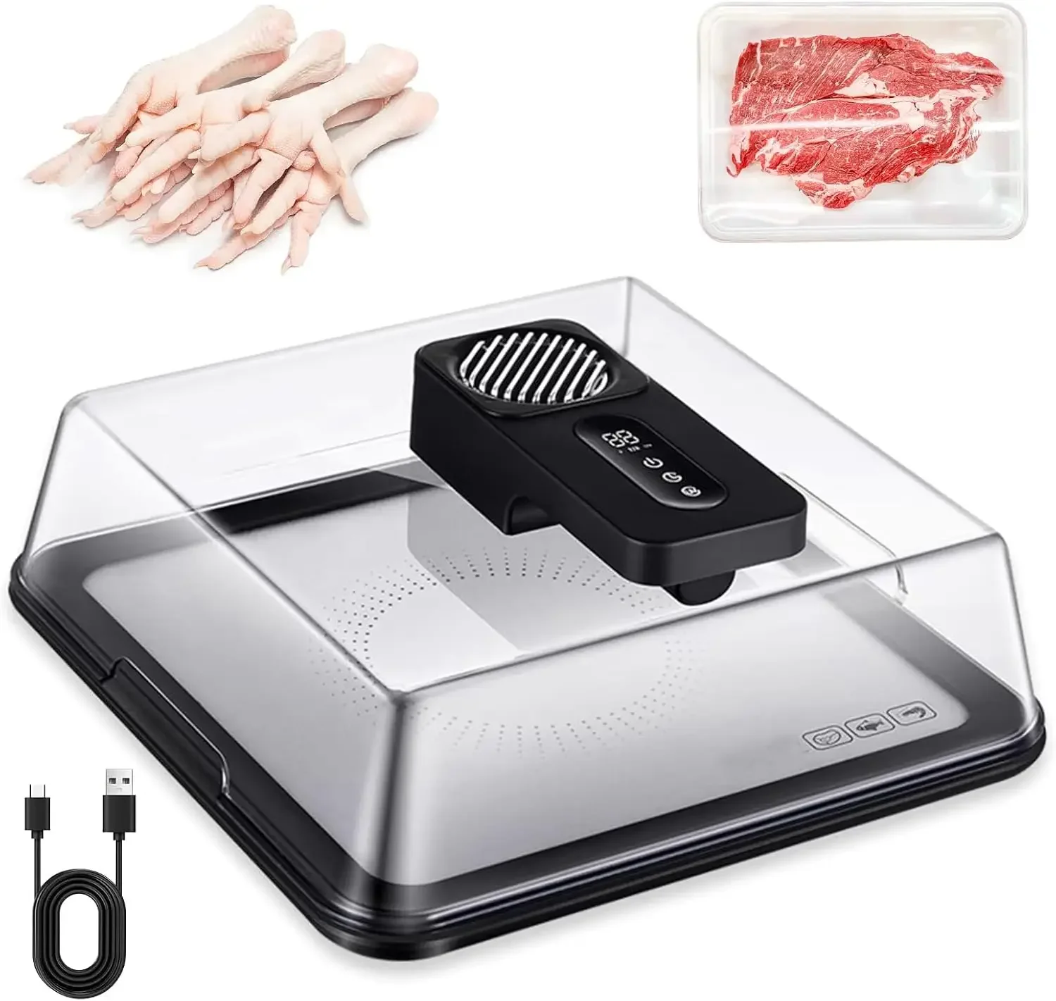 Meat Defrosting Tray, Portable Electric Thawing Board,with USB Charging, Timable Frozen Meat Thawing Box,with Visual Lid,for Hom