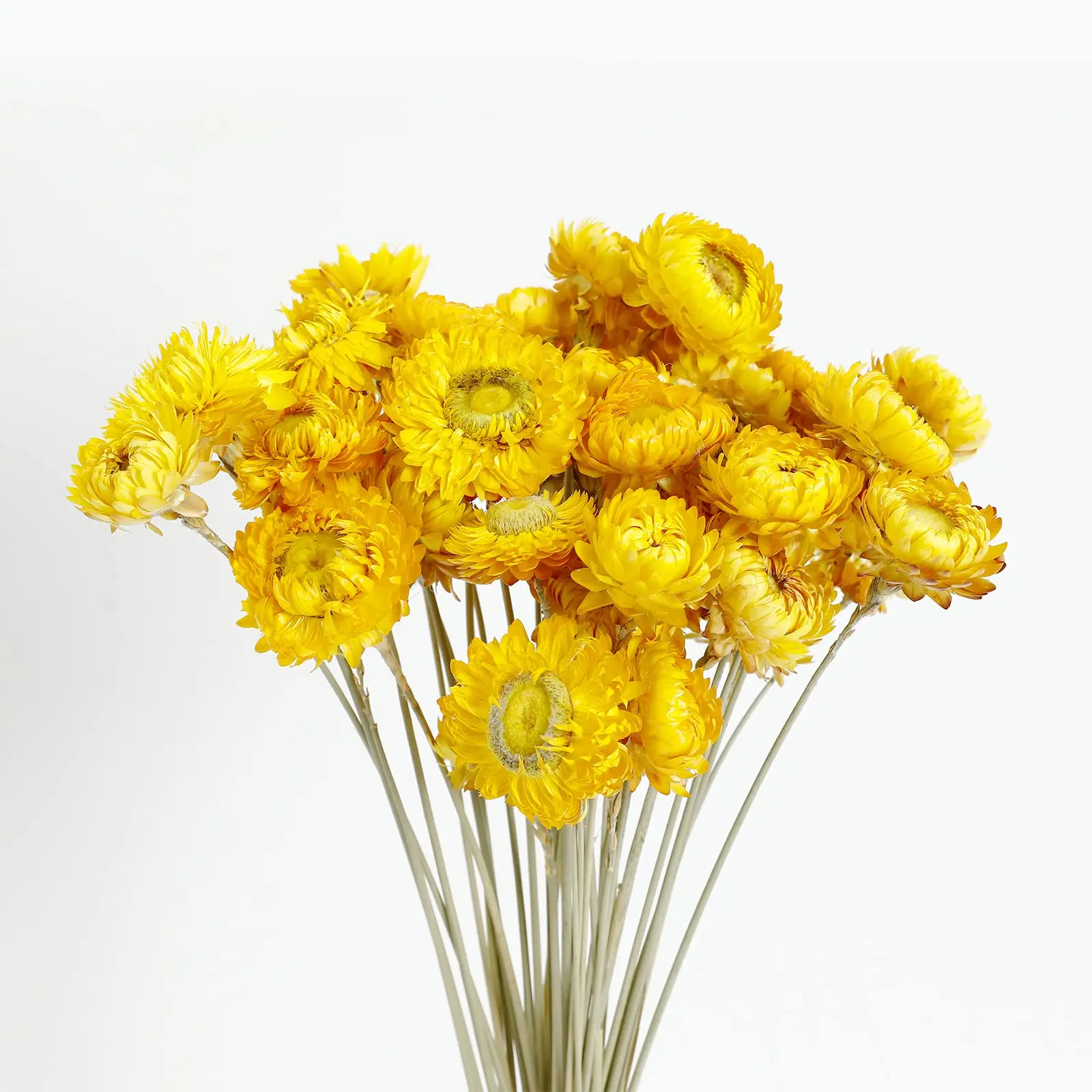 Daisy Dried Flower Bouquet 100%Natural Chrysanthemum Dry Flower for Wedding Centerpieces Home Decor DIY Bridal Bouquet Material