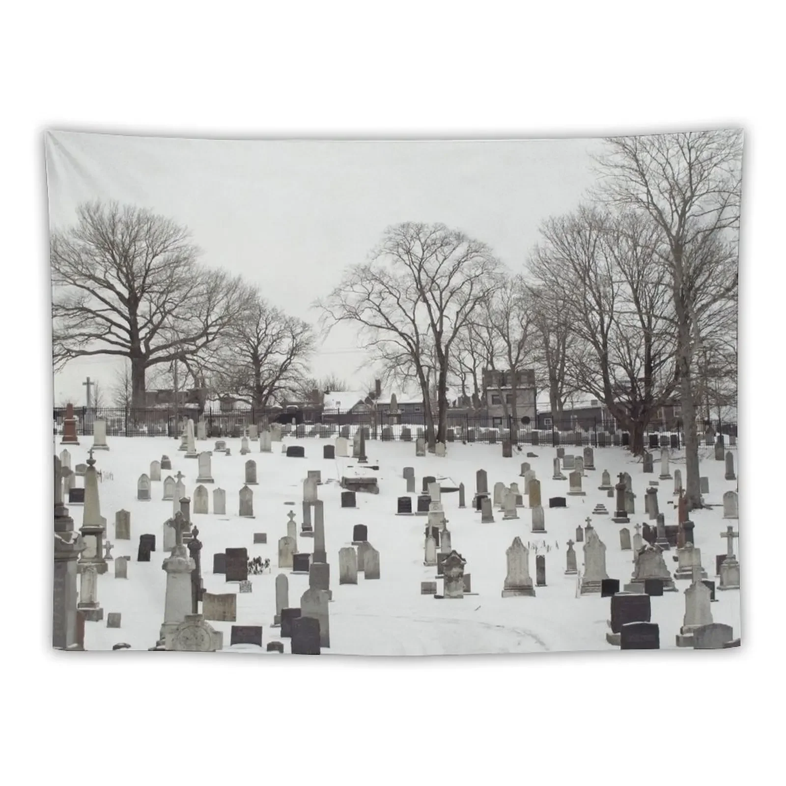 

Cemetery in the Snow Tapestry Home And Comfort Decor Decor For Bedroom Room Decore Aesthetic Tapestry