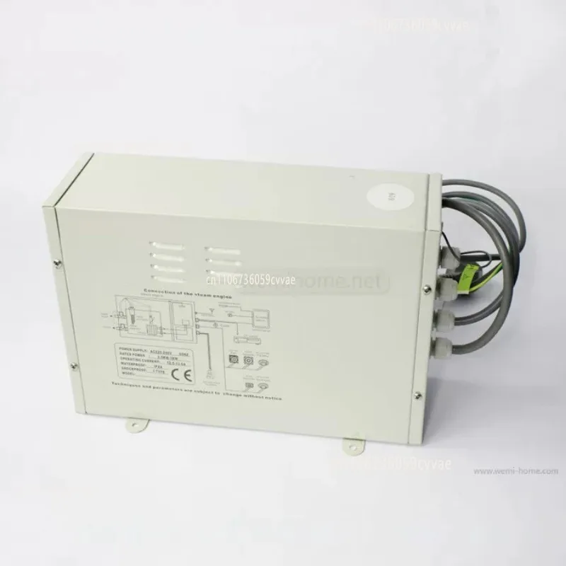 TR-019 steam engine system integral shower room steam generator sauna steam equipment steam engine host