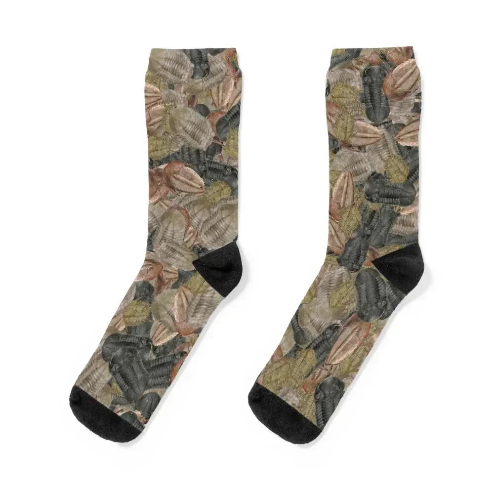 

Trilobite Madness Socks hiking Rugby Wholesale basketball Men Socks Women's