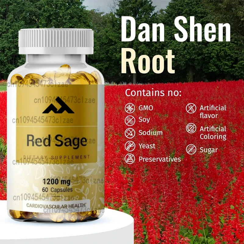

Капсулы Red Sage — органическая добавка из порошка кореня Дэн Шэн — таблетки Салвия Митиорреца — 1200 миллиграмм, 60 вегетарианских капсул