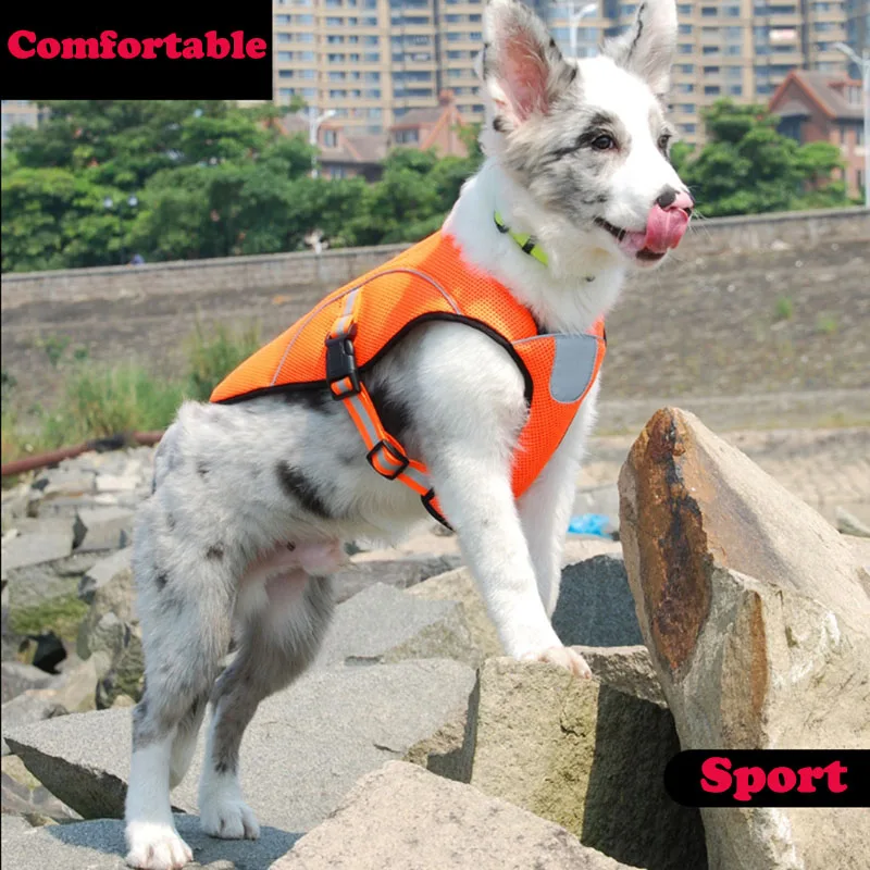 Safe Reflective Cooling Pet Dog Vests For Small Medium Large Dogs Clothes Clothing Hunting Outdoor Sport Dog Quality Product