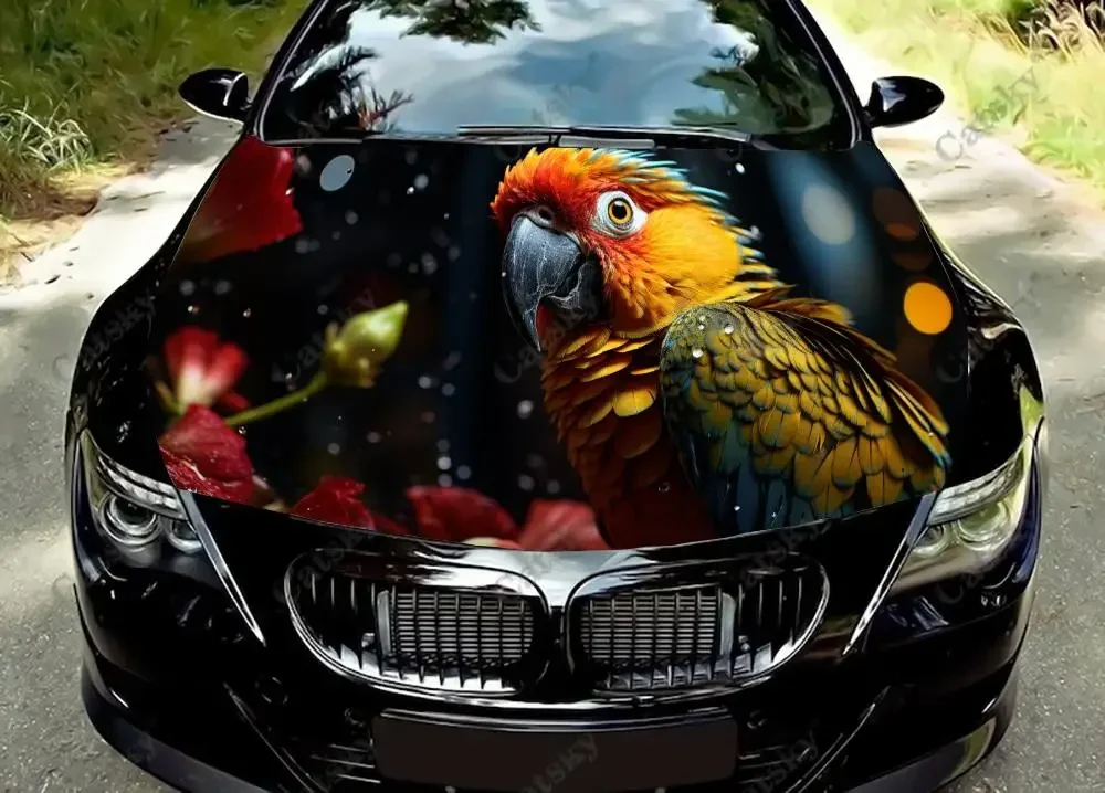 Colorful Parrot Sits On Branch Car Hood Decal Truck Decals Vinyl Sticker Graphic Wrap Stickers Trucks Cars Bonnet Vinyls