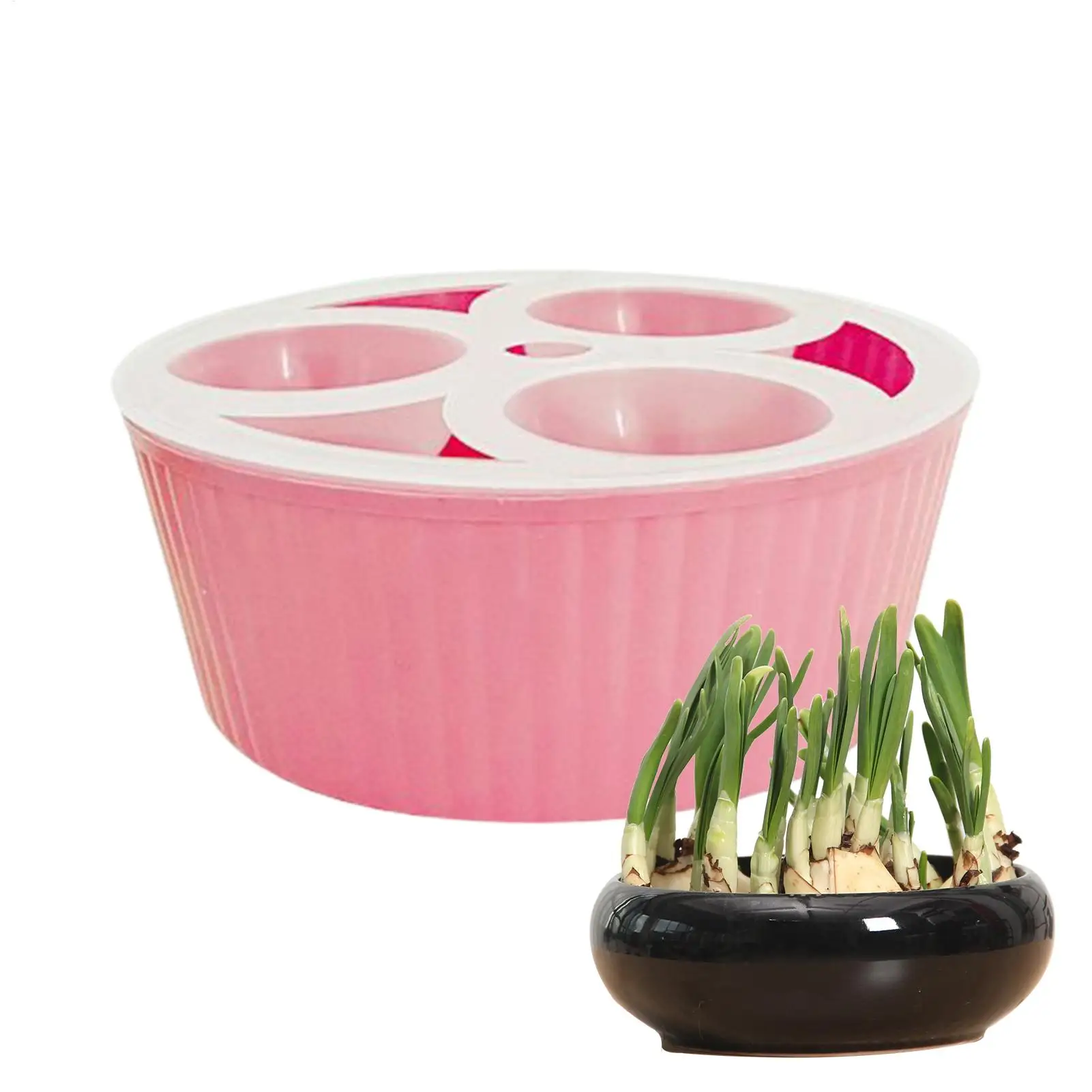 Hydroponic Planter For Flower Bulbs, Glass Hyacinth Vase For Indoor Gardening Elegant Planting Container For Gardeners