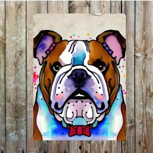 Bulldog Angry   Rainbow Colours Bow Tie Metal  Sign Plaque