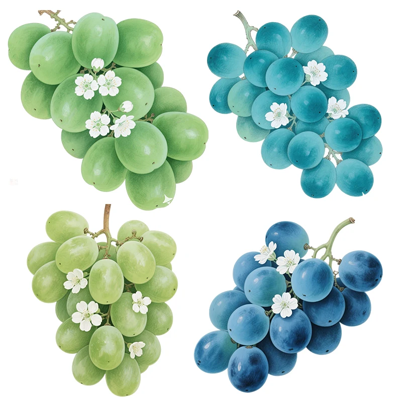 Three Ratels CAA85  Colorful grape wall stickers for home decoration Kitchen refrigerator decal