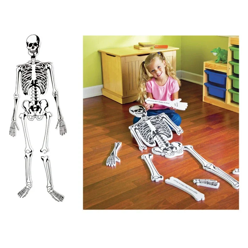 

Human Skeleton Big Puzzle Early Childhood Education Children Cognition Human Body Jigsaw Model Science Teaching Toys