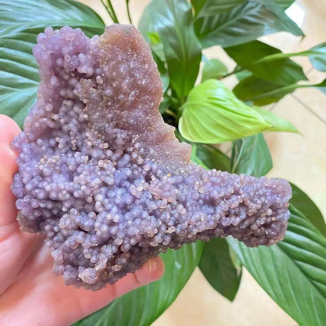 Amazing! Natural Quality Grape Agate Stone,Quartz Crystal Rough Rough Stone,Mineral Reiki Healing Stone,Degaussing Decor