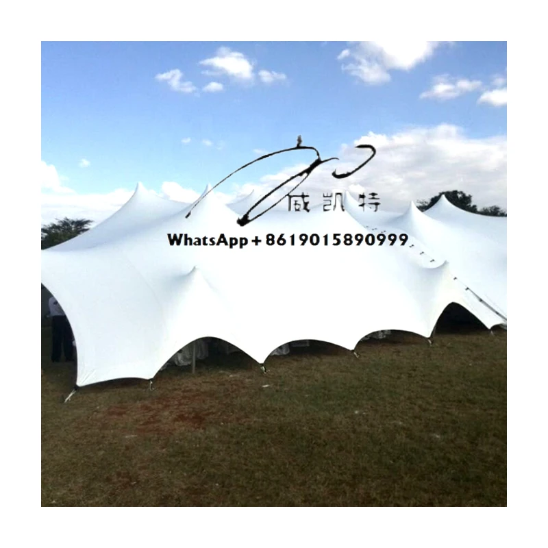 

Made in China Factory Price Custom Size Big Luxury Outdoor Wedding Stretch Tents Party and Events