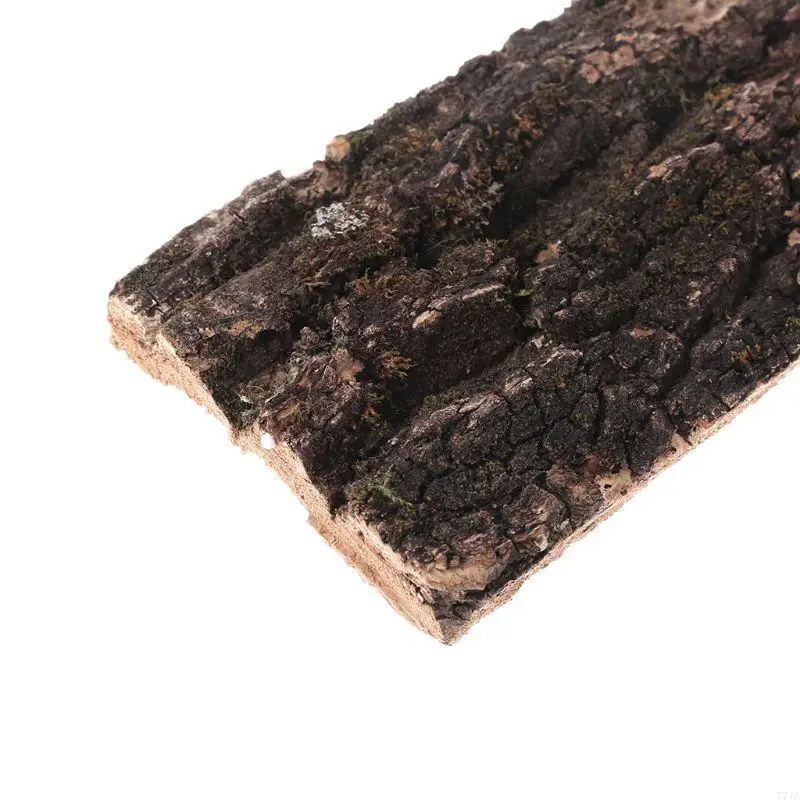 77JA NATRUAL CORK BARK FREVIOLISTY CORK BARK РЕПТИЛИ