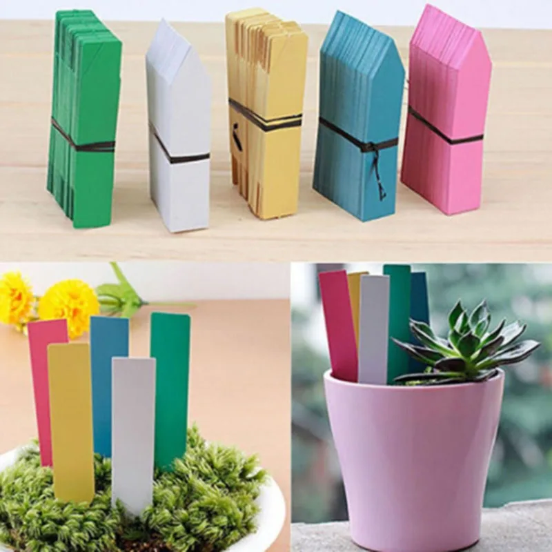 100Pcs Garden Plant Labels Plastic Plant Tags Nursery Markers Flower Pots Waterproof Labels Tray Mark Tools 5 Colors Garden Tool