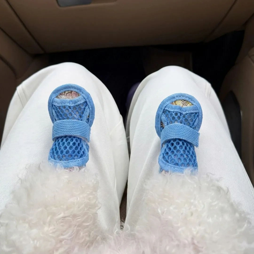 Thumbnail 4 - #34 Puppy Boots Ranking List in 2026