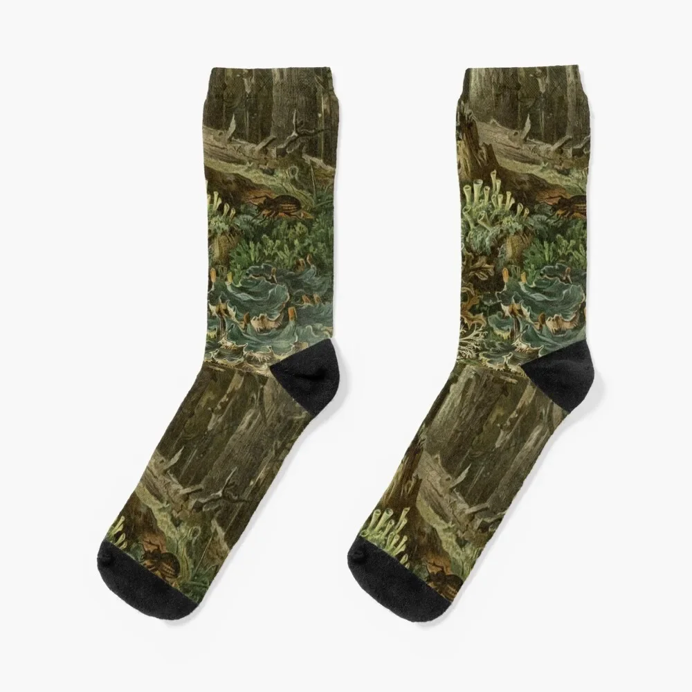 

Forest Lichen Socks Hiking boots new year Non-slip Ladies Socks Men's