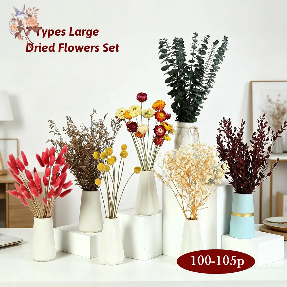 Набор сухоцветов оптом, 7 видо – обзор и цена Florist Supply Bulk