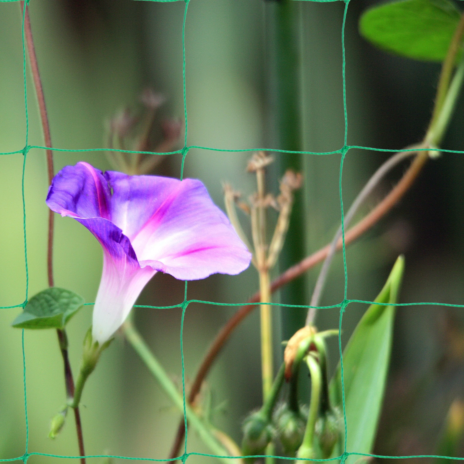 

Garden Trellis Net Heavy Duty Plastic Mesh for Climbing Plants Support Vegetable Fruit Vines Outdoor Indoor Use